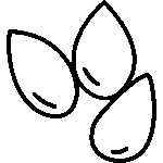 تخمه و آجیل